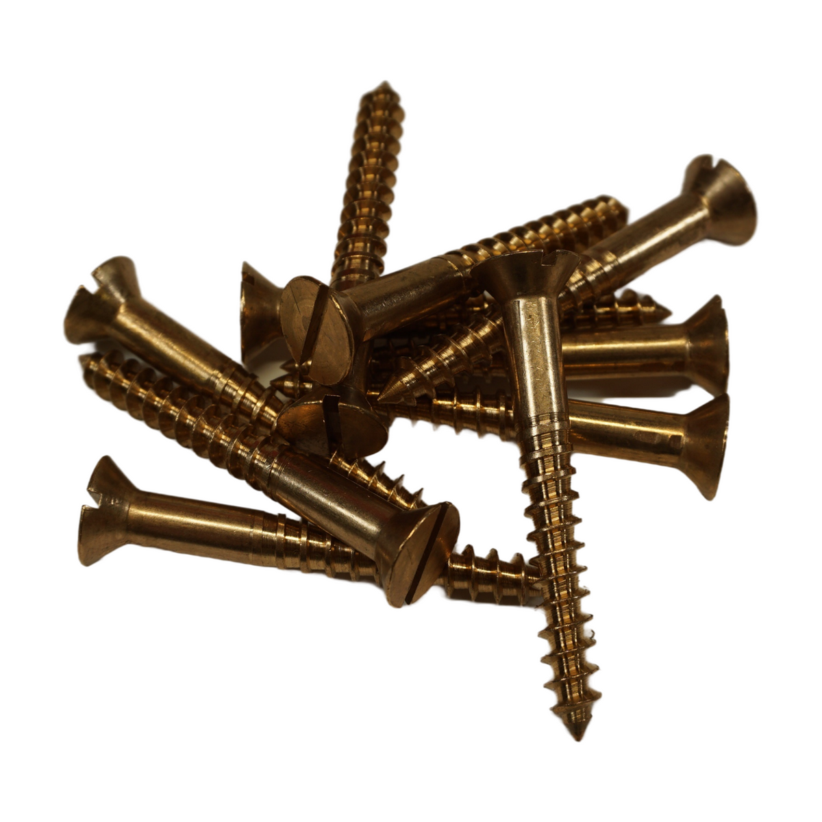 #20 Silicon Bronze Wood Screws