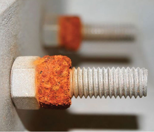 Choosing the Right Fasteners for Your Outdoor Project: 316 Stainless Steel vs. Galvanized Steel