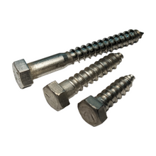 Load image into Gallery viewer, 316 Stainless Steel Lag Bolts
