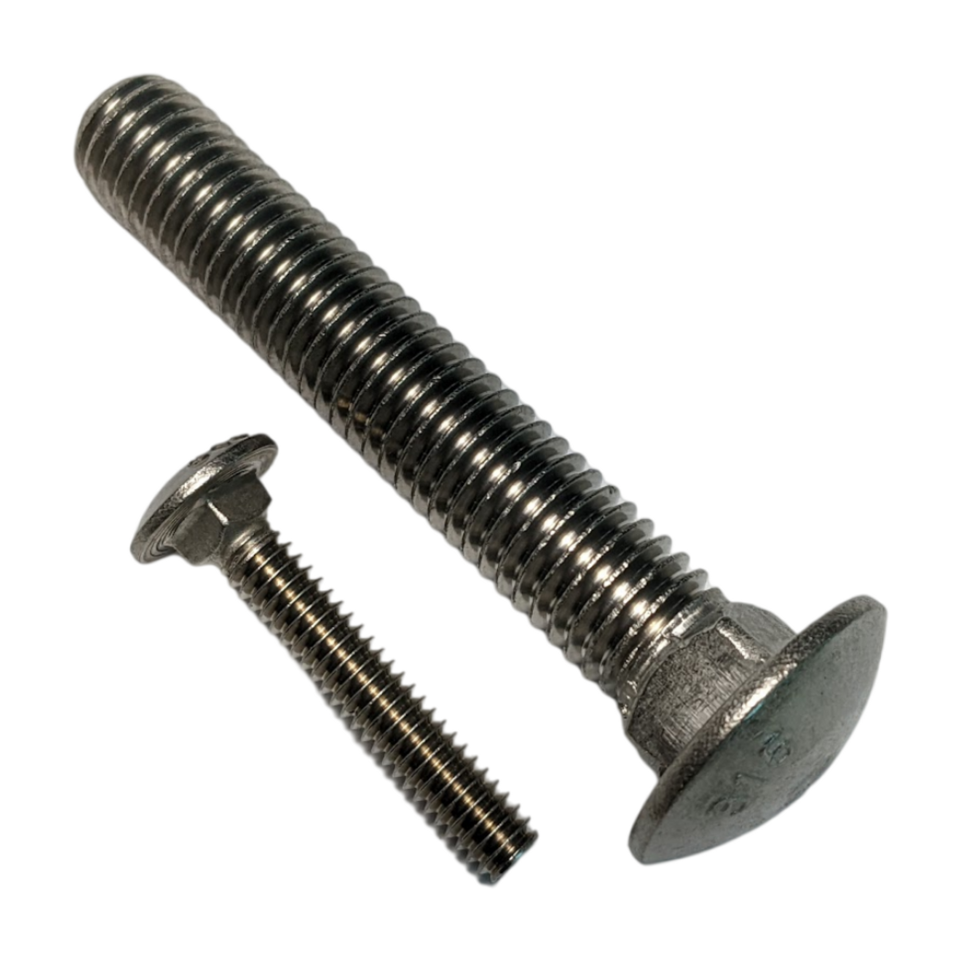 Large 316 Stainless Steel Carriage Bolt